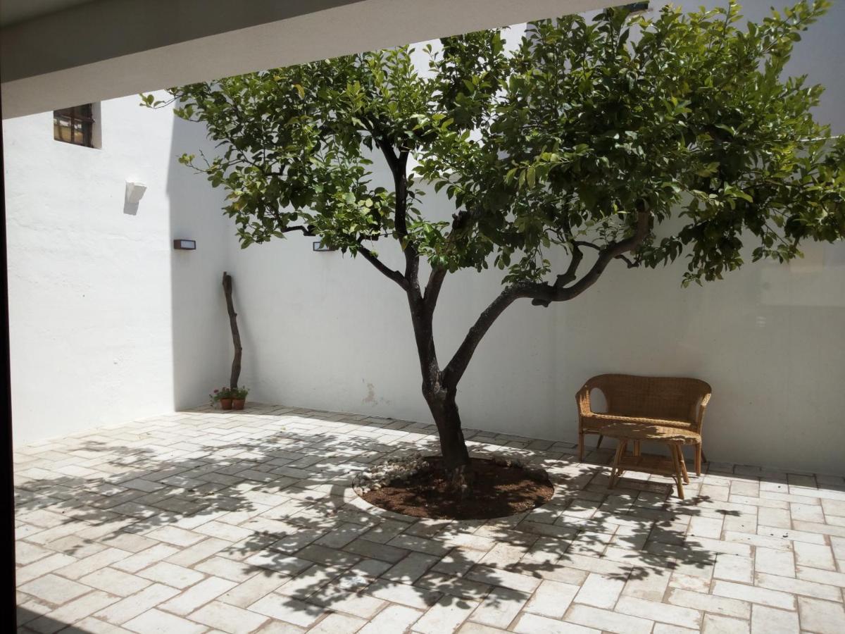 カストリニャーノ・デル・カーポ Cortile Calinea Bed & Breakfast エクステリア 写真